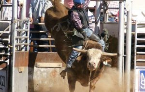 PRCA RODEO KINGMAN AZ DAY 2
